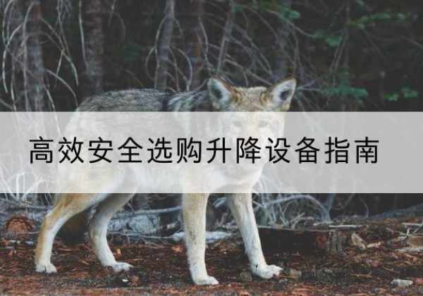 丘北升降货梯厂家推荐-*安全选购升降设备指南