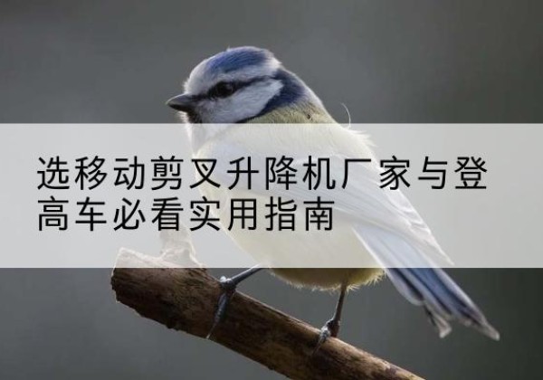 丘北电动升降机厂家-选移动剪叉升降机厂家与登高车必看实用指南