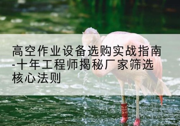 丘北剪叉式升降机厂家-高空作业设备选购实战指南-十年工程师揭秘厂家筛选核心法则